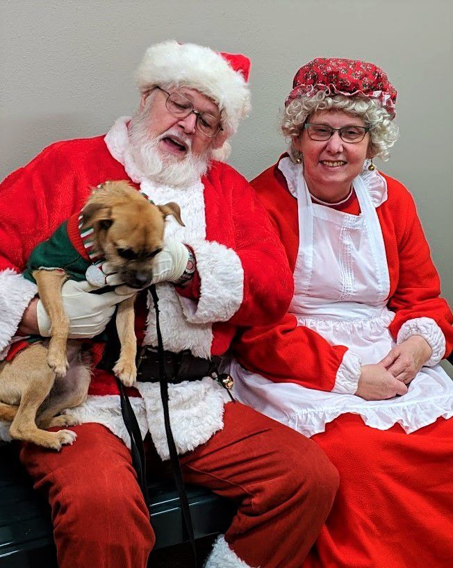 Santa and Puppy